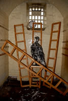 View larger version of Dee Shaw's installation, Carceri.